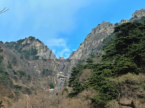 登泰山